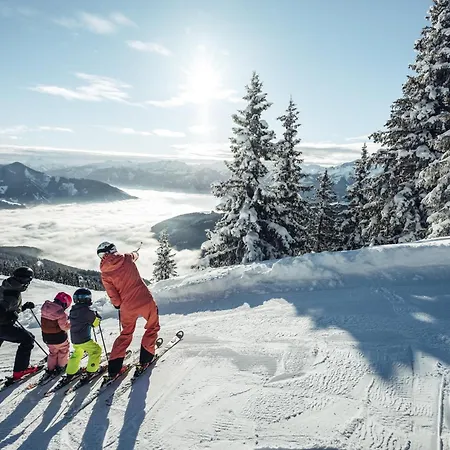 Bergliebe - Sommerkarte Zell Am Inkludiert