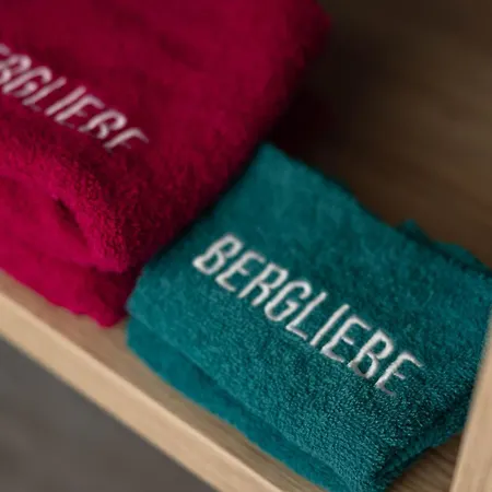 Apartment Bergliebe - Sommerkarte Zell Am Inkludiert *