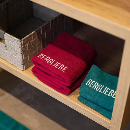 Bergliebe - Sommerkarte Zell Am Inkludiert Lejlighed *